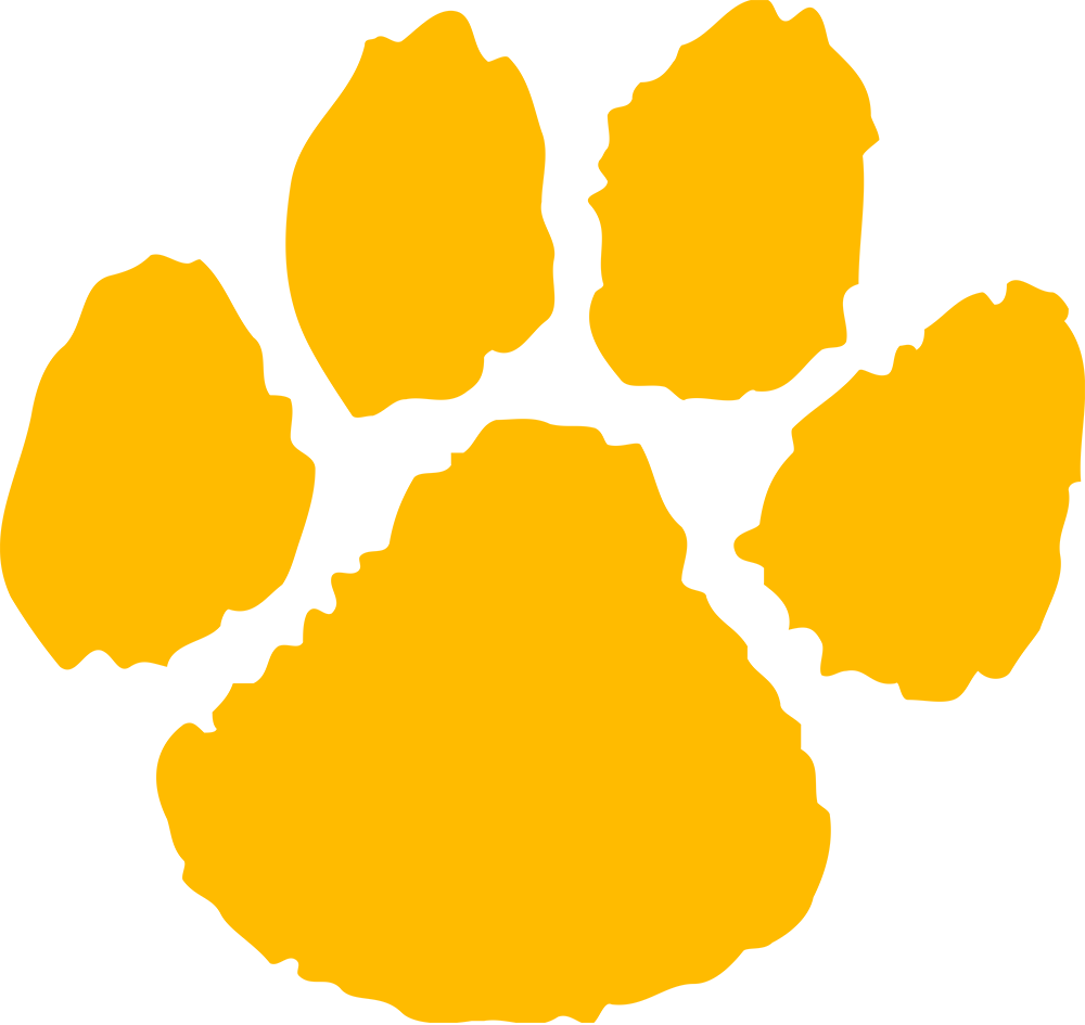 Northern Michigan Wildcats logos iron-ons